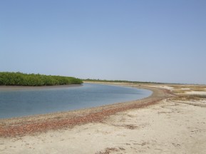 sénégal dec 06 057