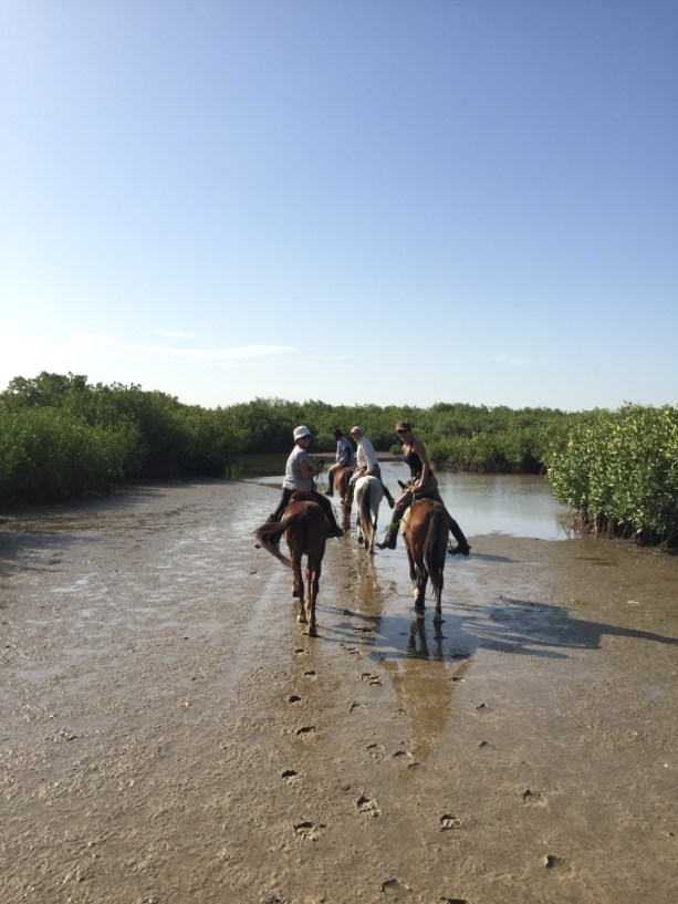 UNADJUSTEDNONRAW_thumb_5366